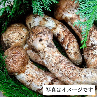 信州松茸七万円コース