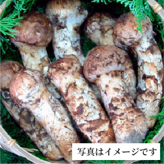 信州松茸五万円コース