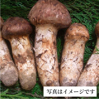 信州松茸二万円コース