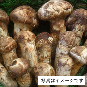 信州松茸二万円コース