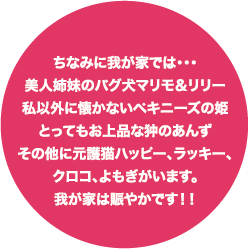 ちなみに我が家では…美人姉妹のパグ犬マリモ&リリー、私以外に懐かないペキニーズの姫、とってもお上品な狆のあんず、その他に元護猫ハッピー、ラッキー、クロコ、よもぎがいます。我が家は賑やかです!!